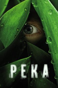 Река